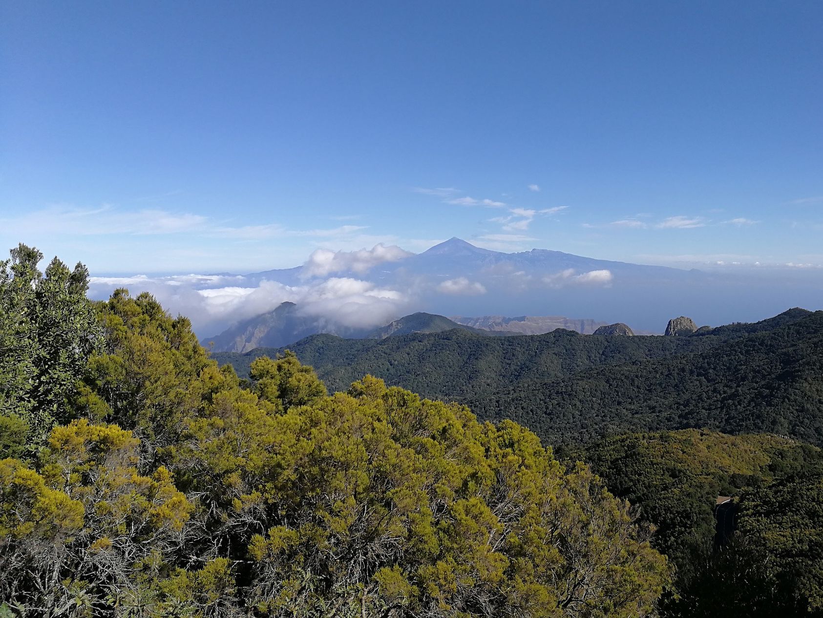 National Park Garajonay, La Gomera - Eilandhoppen rondreis Canarische eilanden