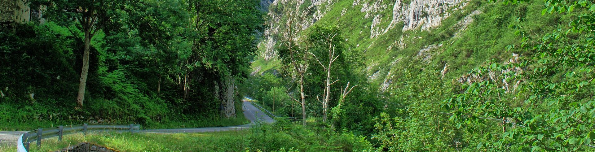 Picos de Europa, Noord Spanje