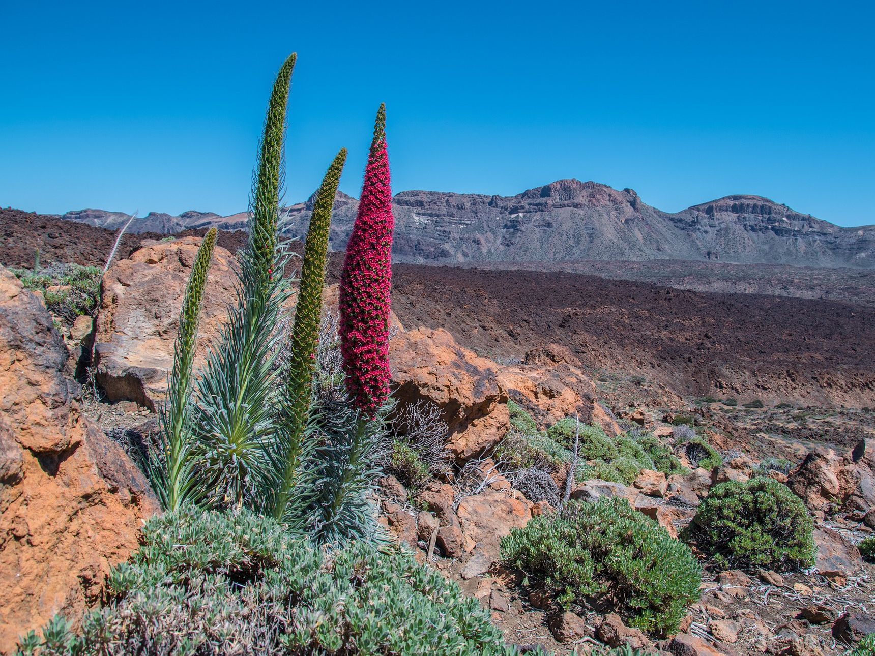 National Park El Teide, Tenerife - Fly-drive Mirador